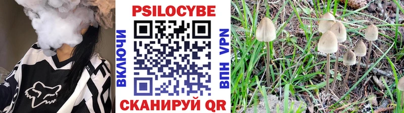 Псилоцибиновые грибы Psilocybine cubensis  Чебоксары 