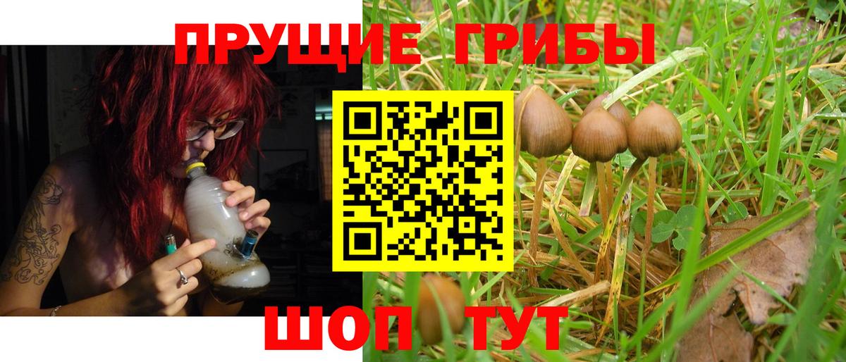Галлюциногенные грибы Magic Shrooms Чебоксары